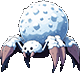 Avalantula